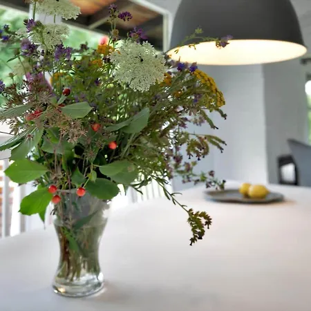 12280-sjaellands-odde-pumavej-8 Ferienhaus Tjørneholm